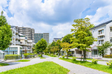 建物の庭に樹木を設置